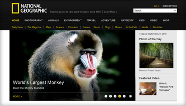 网页在线DDOS压力测试